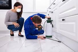 Best Fumigation Services  in Gaylord, MI